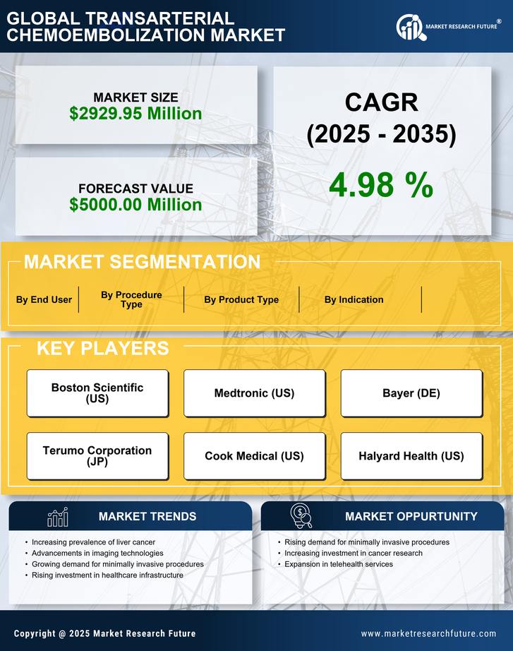 US Transarterial Chemoembolization Market Research Report - Forecast to 2035 Infographic