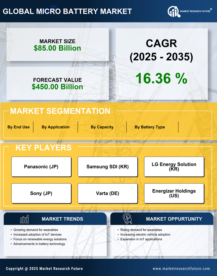 US Micro Battery Market Infographic