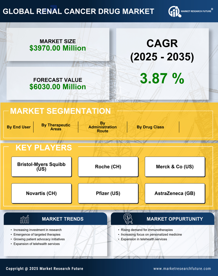 US Renal Cancer Drug Market Infographic