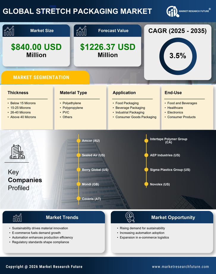 US Stretch Packaging Market Infographic