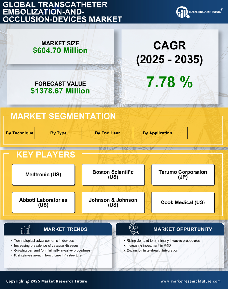 US Transcatheter Embolization and Occlusion Devices Market Infographic