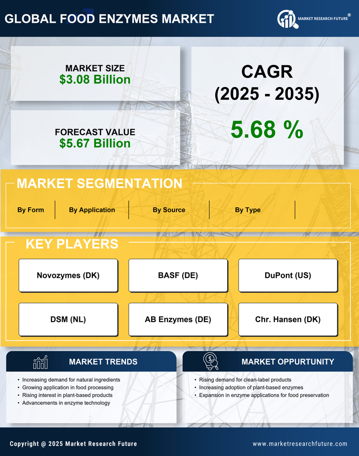 Food Enzymes Market Research Report - Forecast to 2035 Infographic