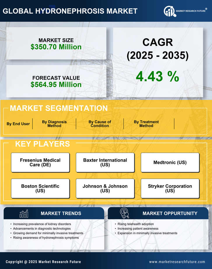 US Hydronephrosis Market Infographic