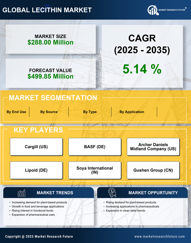 US Lecithin Market Research Report — Forecast till 2035 Infographic