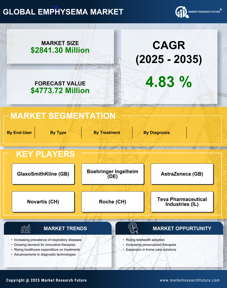 US Emphysema Market Infographic