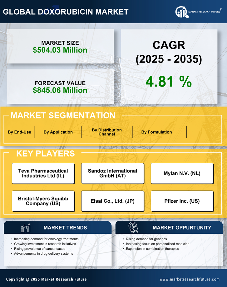 US Doxorubicin Market Infographic