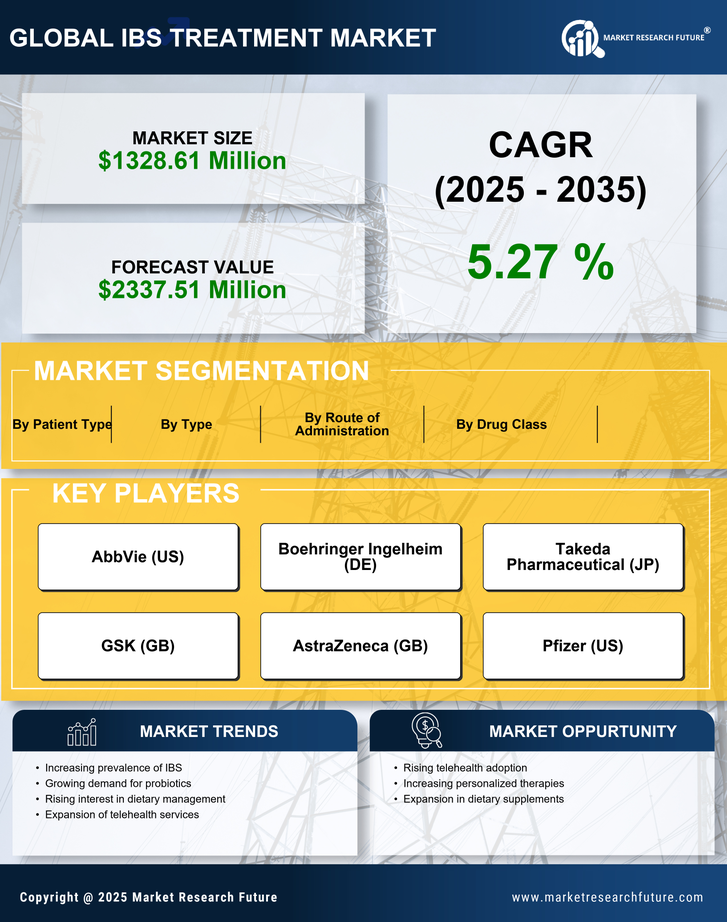 US IBS Treatment Market Infographic