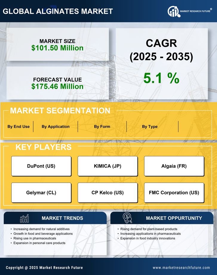 US Alginates Market Research Report — Forecast till 2035 Infographic