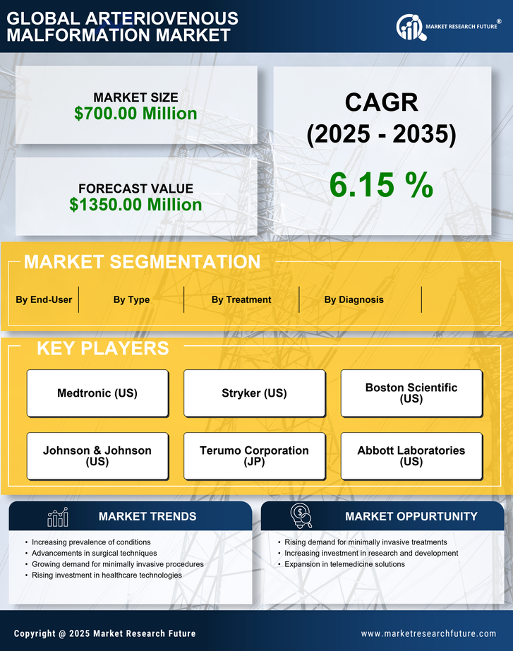 US Arteriovenous Malformation Market Infographic