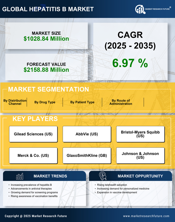 US Hepatitis B Treatment Market Infographic
