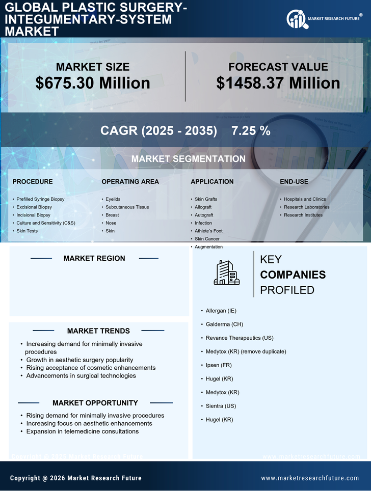 US Plastic Surgery Integumentary System Market Infographic