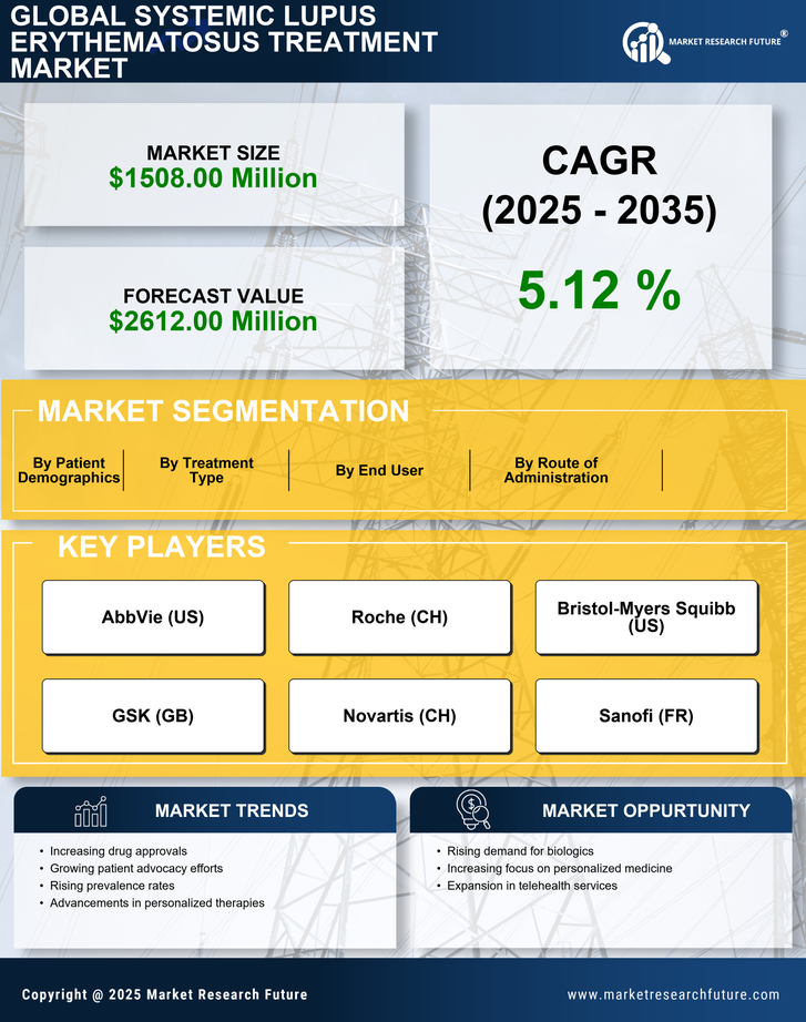 US Systemic Lupus Erythematosus Treatment Market Infographic