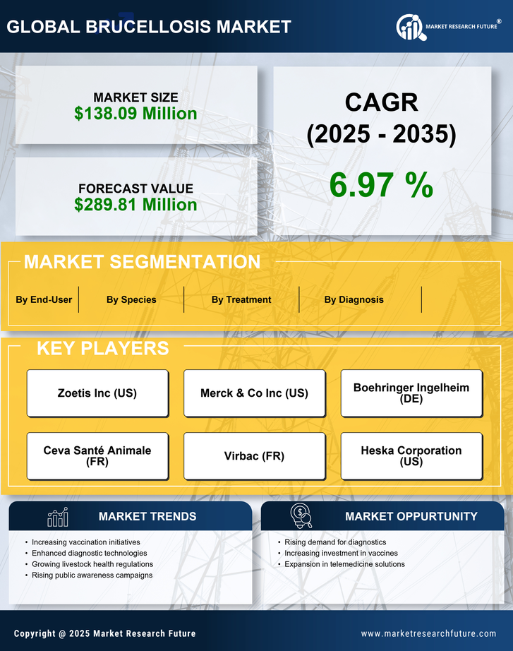 US Brucellosis Market Infographic