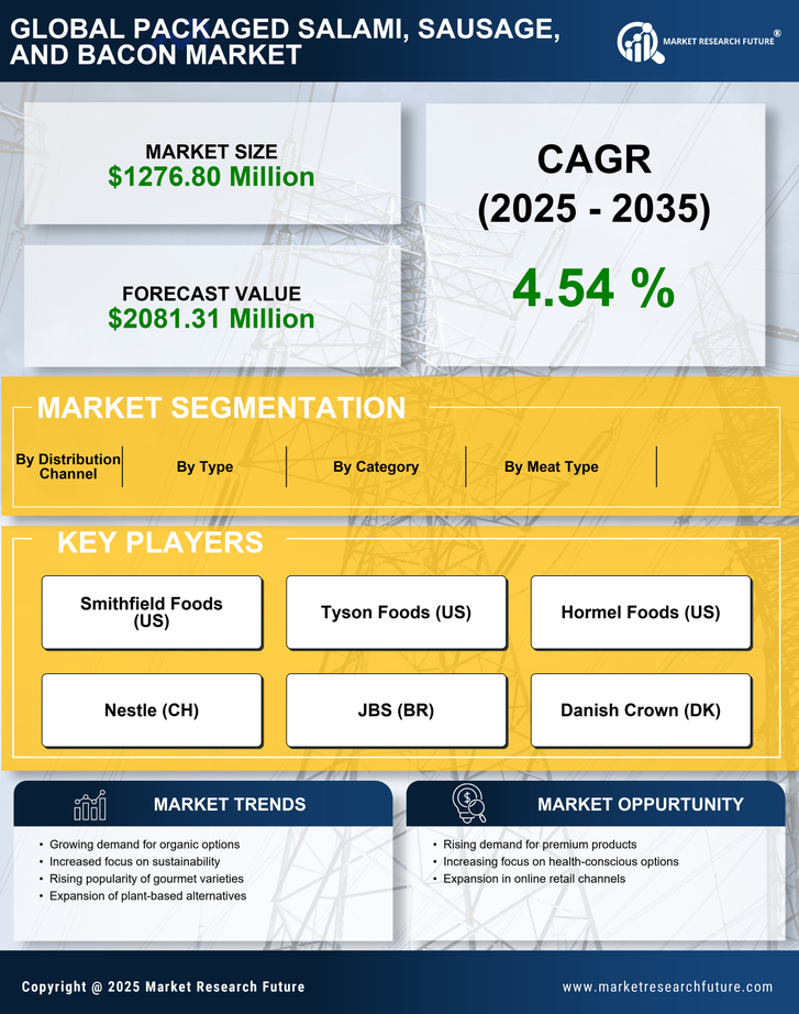 US Packaged Salami Sausage Bacon Market Research Report — Forecast till 2035 Infographic