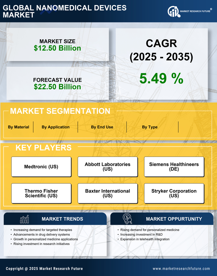 US Nanomedical Devices Market Research Report — Global Forecast till 2035 Infographic