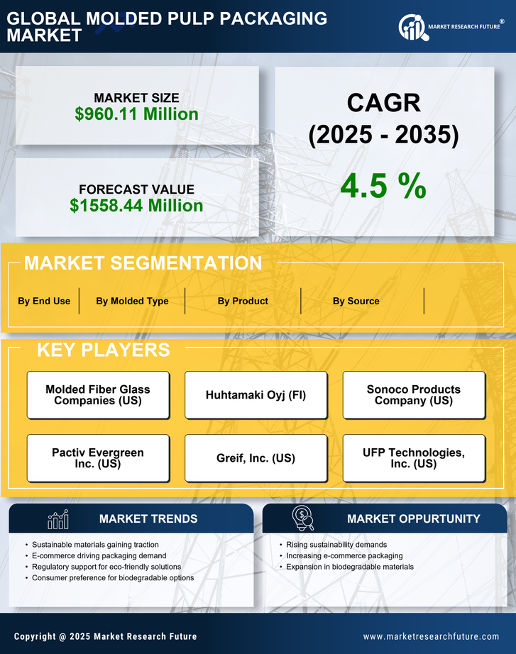 US Molded Pulp Packaging Market Research Report - Forecast Report 2035 Infographic
