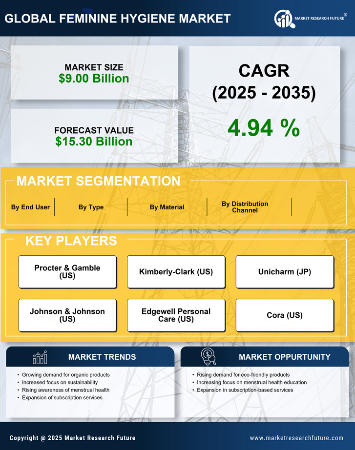 US Feminine Hygiene Market Infographic