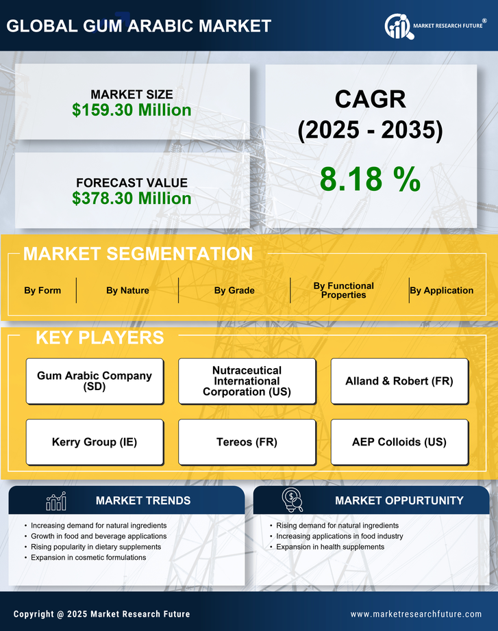 US Gum Arabic Market Research Report — Forecast till 2035 Infographic