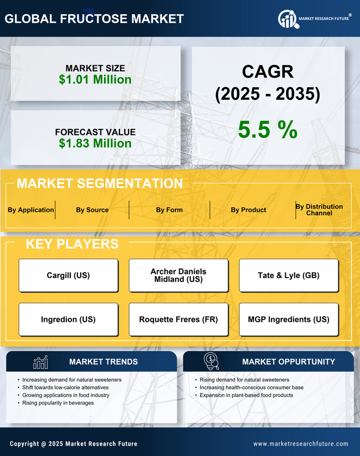 US Fructose Market Research Report — Forecast till 2035 Infographic