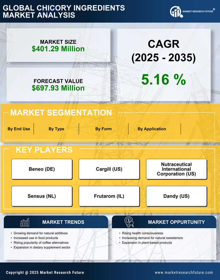 US Chicory Ingredients Market Research Report — Forecast till 2035 Infographic