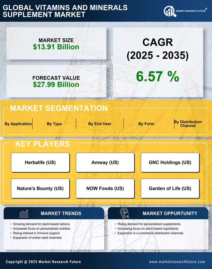 US Vitamins Minerals Supplement Market Research Report — Forecast till 2035 Infographic