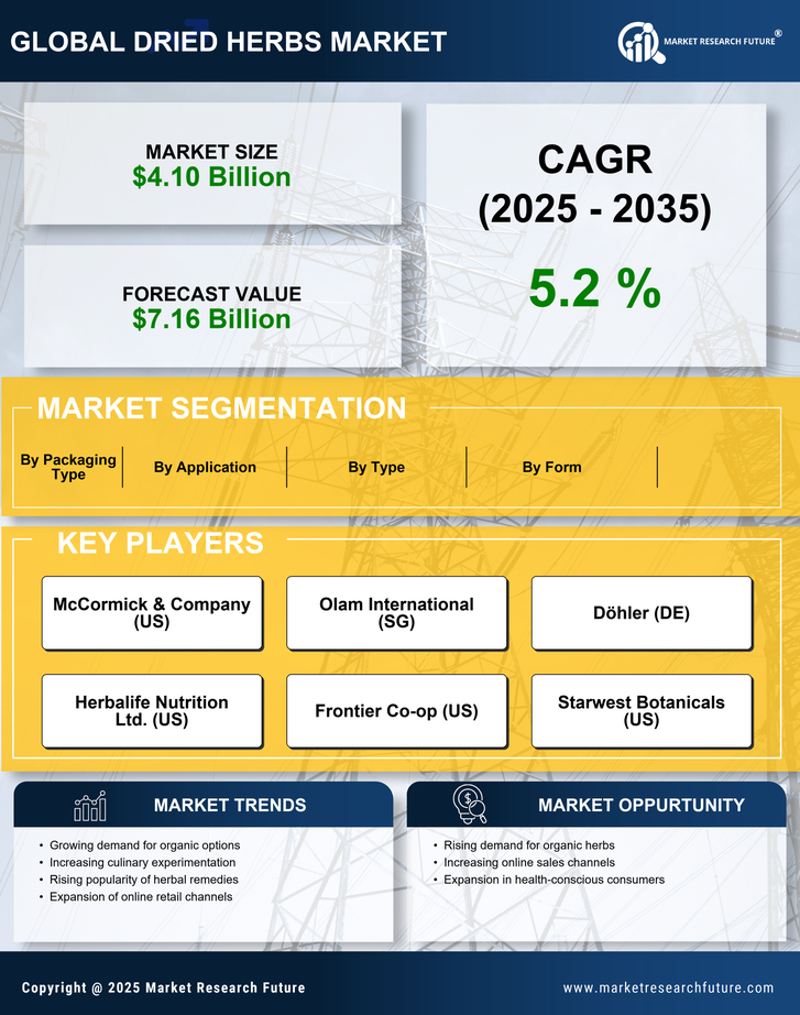 Dried herbs Market Research Report — Forecast till 2035 Infographic
