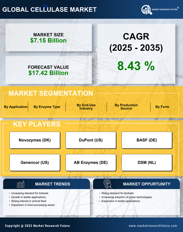 Cellulase Market Research Report — Global Forecast till 2035 Infographic