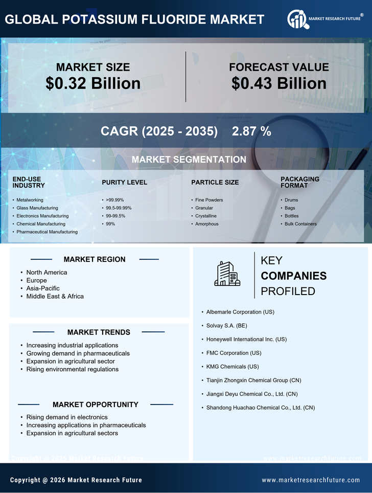 Potassium Fluoride Market Research Report — Global Forecast till 2035 Infographic