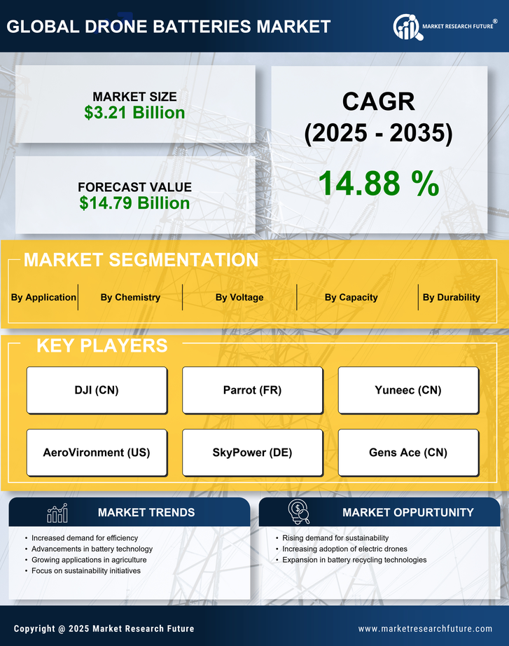 Drone Batteries Market Research Report - Global Forecast to 2035 Infographic