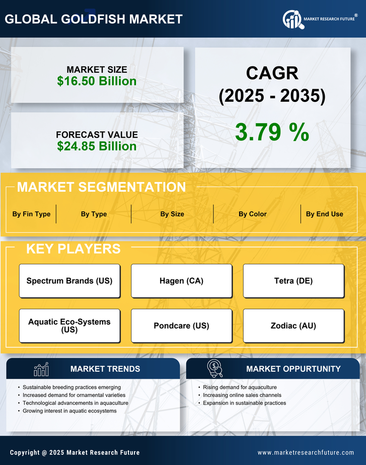 Goldfish Market Research Report — Global Forecast till 2035 Infographic