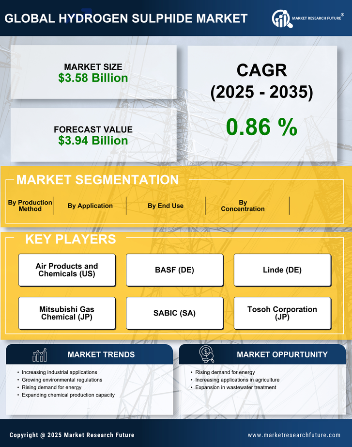 Hydrogen Sulphide Market Research Report — Global Forecast till 2035 Infographic