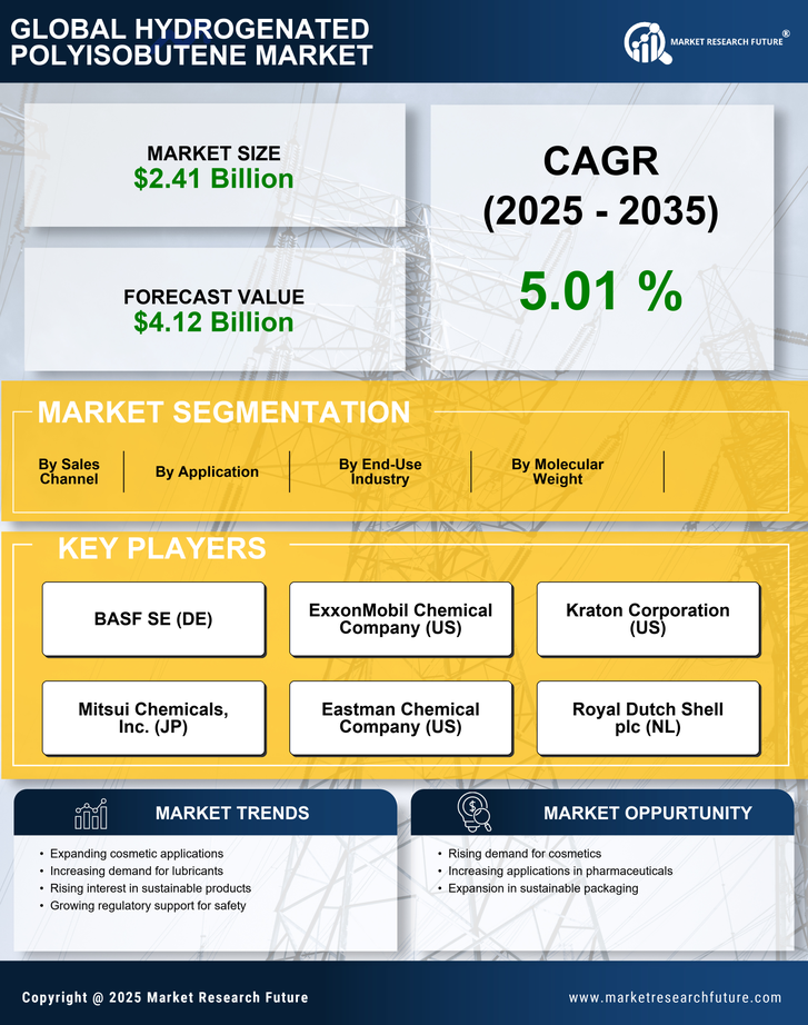 Hydrogenated Polyisobutene Market Research Report — Global Forecast till 2035 Infographic
