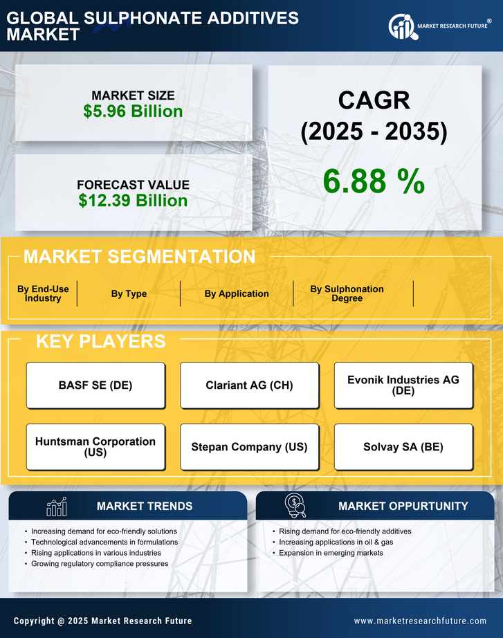 Sulphonate Additives Market Research Report — Global Forecast till 2035 Infographic