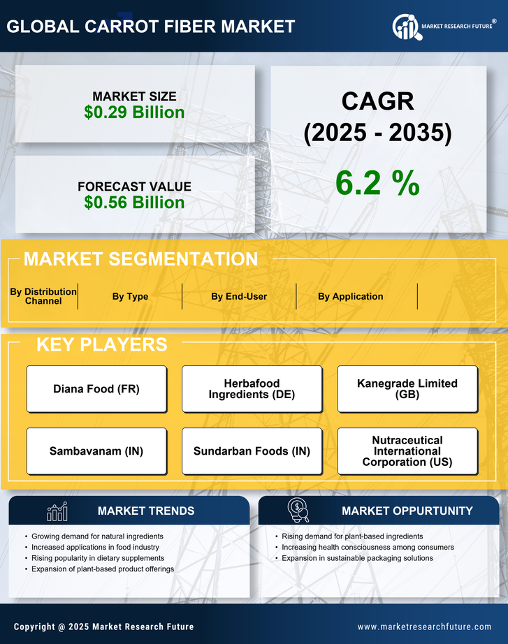 Carrot Fiber Market Research Report — Global Forecast till 2035 Infographic