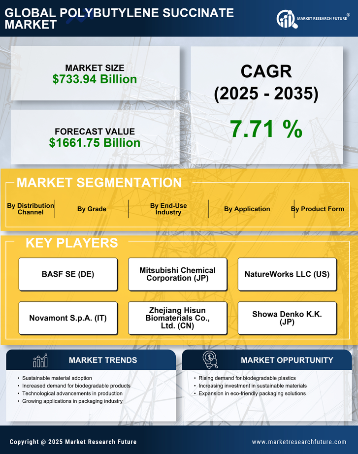 Polybutylene Succinate Market Research Report - Global Forecast till 2035 Infographic