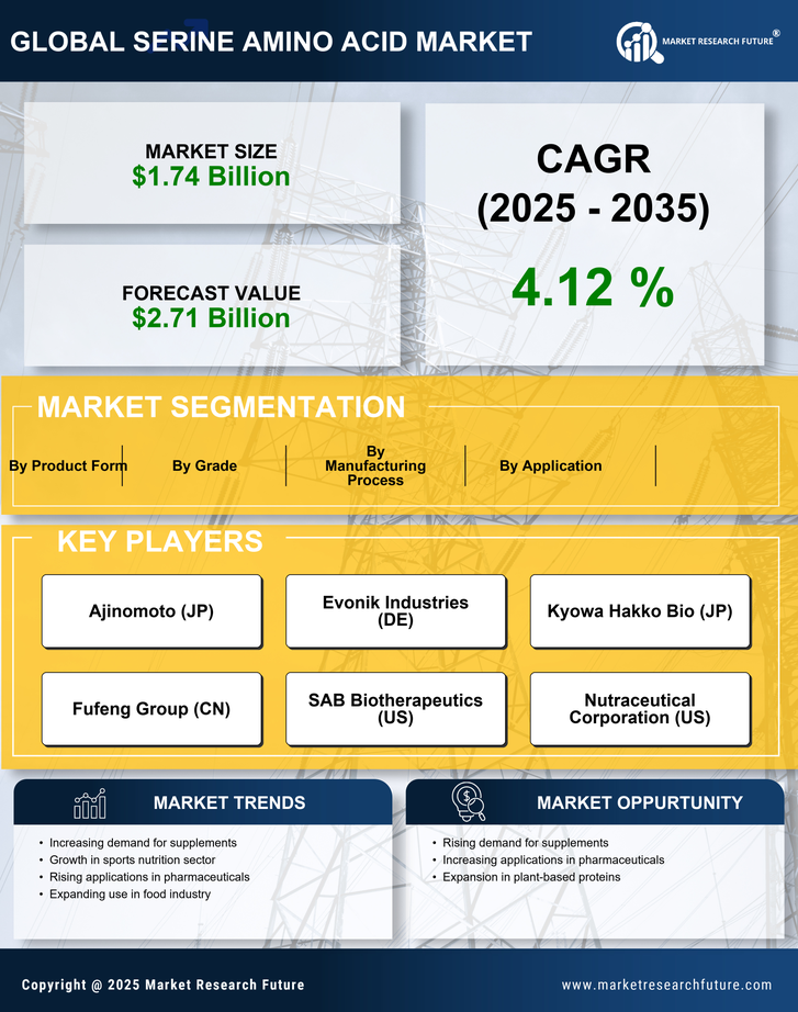 Serine Amino Acid Market Research Report - Global Forecast by 2035 Infographic