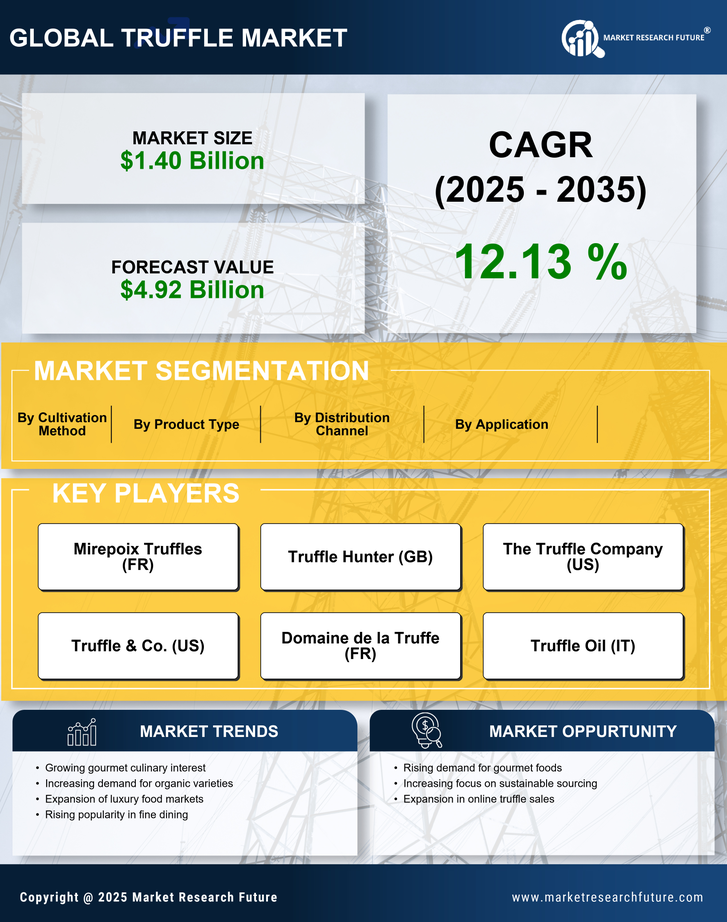 Truffle Market Research Report — Global Forecast till 2035 Infographic