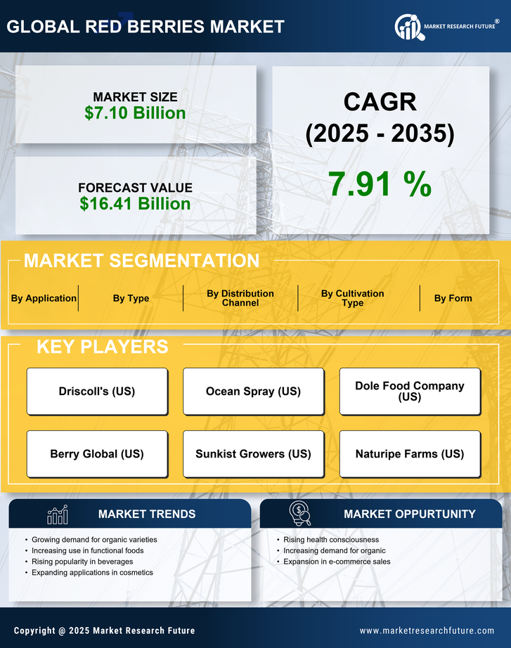 Red Berries Market Research Report — Global Forecast till 2035 Infographic