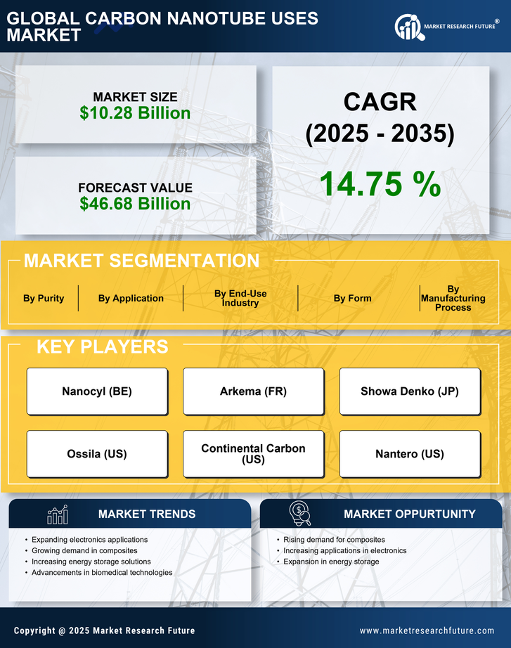 Carbon Nanotube Uses Market Research Report — Global Forecast till 2035 Infographic