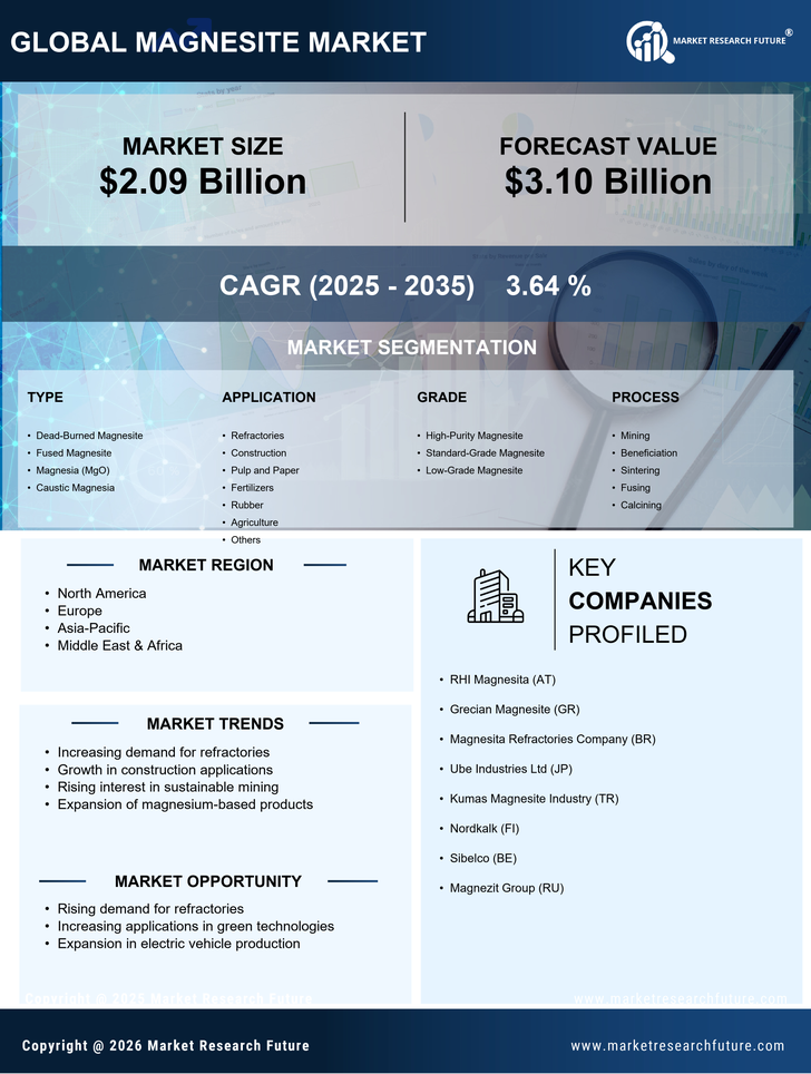 Magnesite Market Research Report - Global Forecast till 2035 Infographic