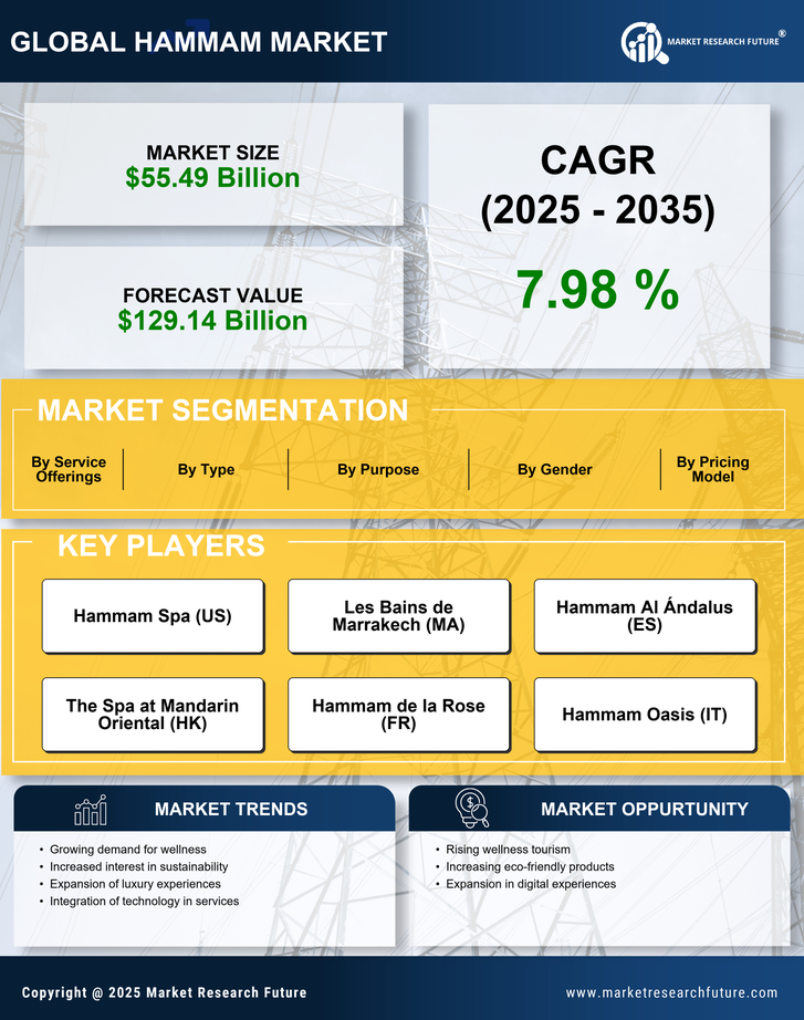 Hammam Market Research Report — Global Forecast till 2035 Infographic