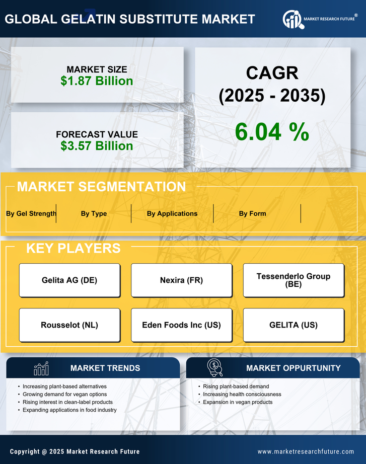 Gelatin Substitute Market Research Report — Global Forecast till 2035 Infographic
