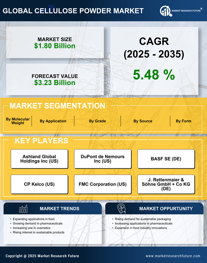 Cellulose Powder Market Research Report - Global Forecast by 2035 Infographic