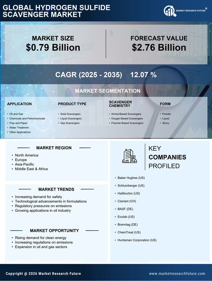 Hydrogen Sulfide Scavenger Market Research Report — Global Forecast till 2035 Infographic