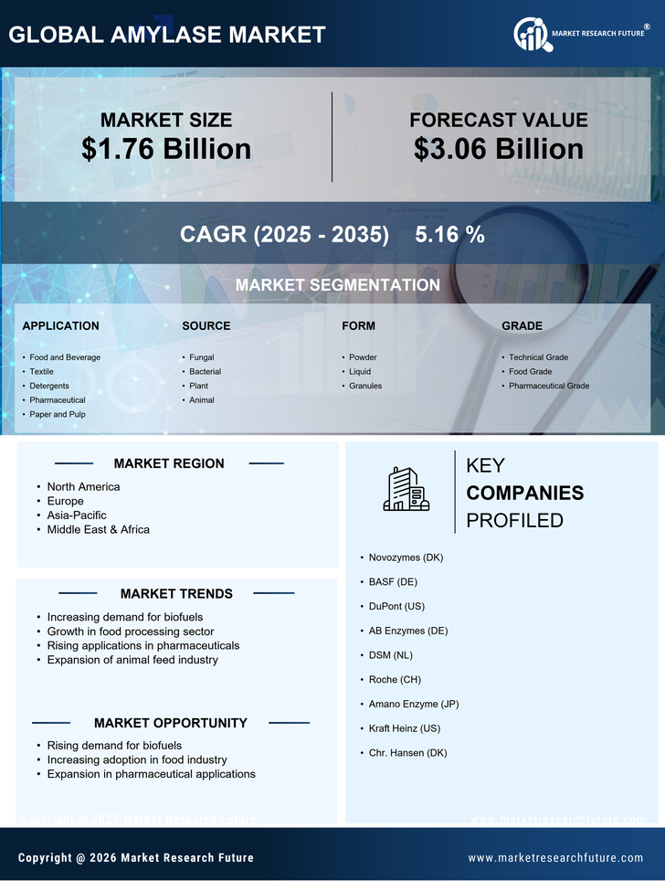 Amylase Market Research Report — Global Forecast till 2035 Infographic