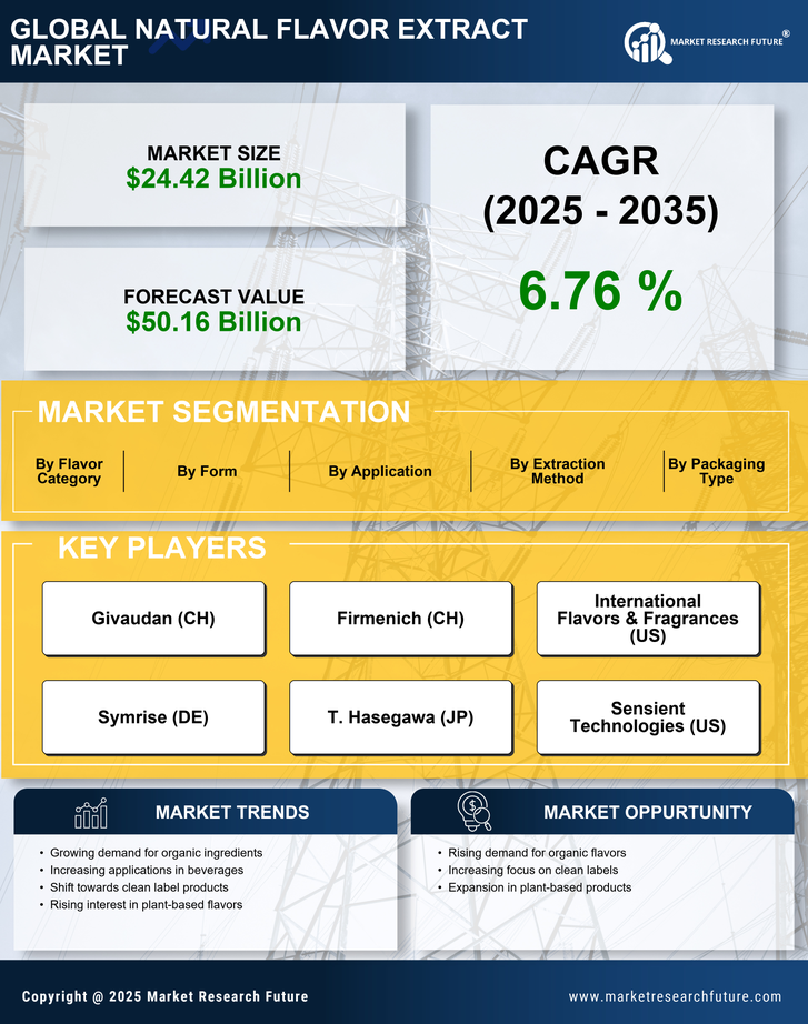 Natural Flavor Extract Market Research Report — Global Forecast till 2035 Infographic