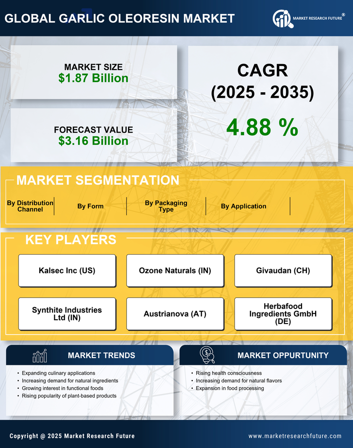 Garlic Oleoresin Market Research Report — Global Forecast till 2035 Infographic