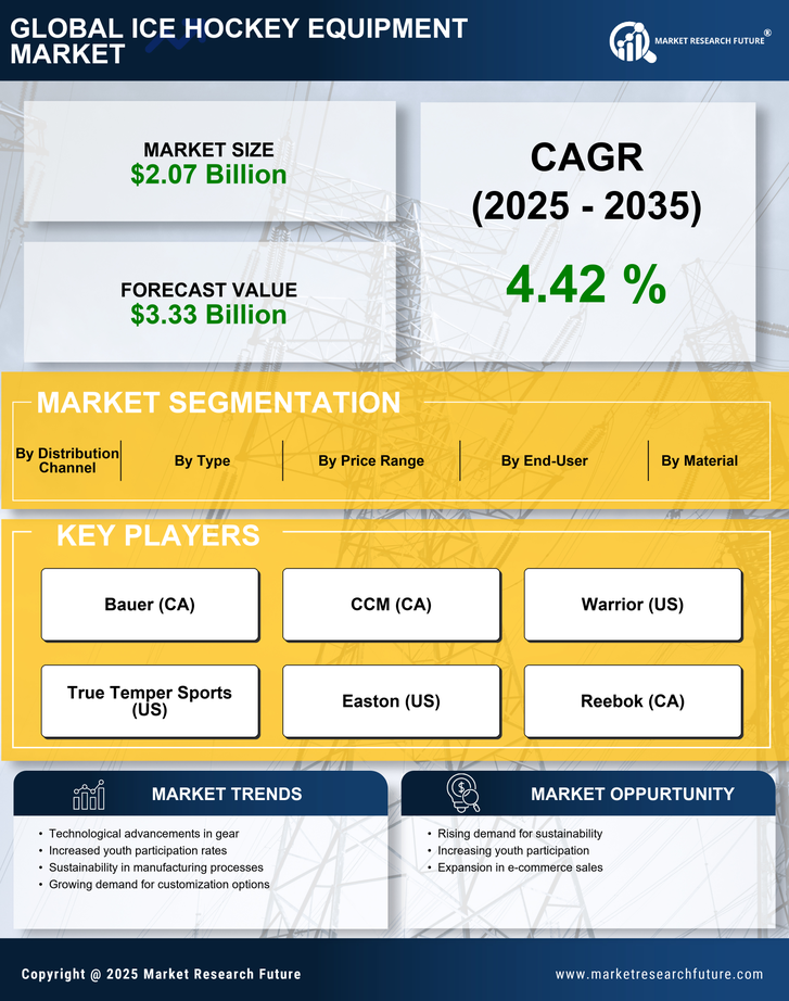 Ice Hockey Equipment Market Research Report - Global Forecast by 2035 Infographic