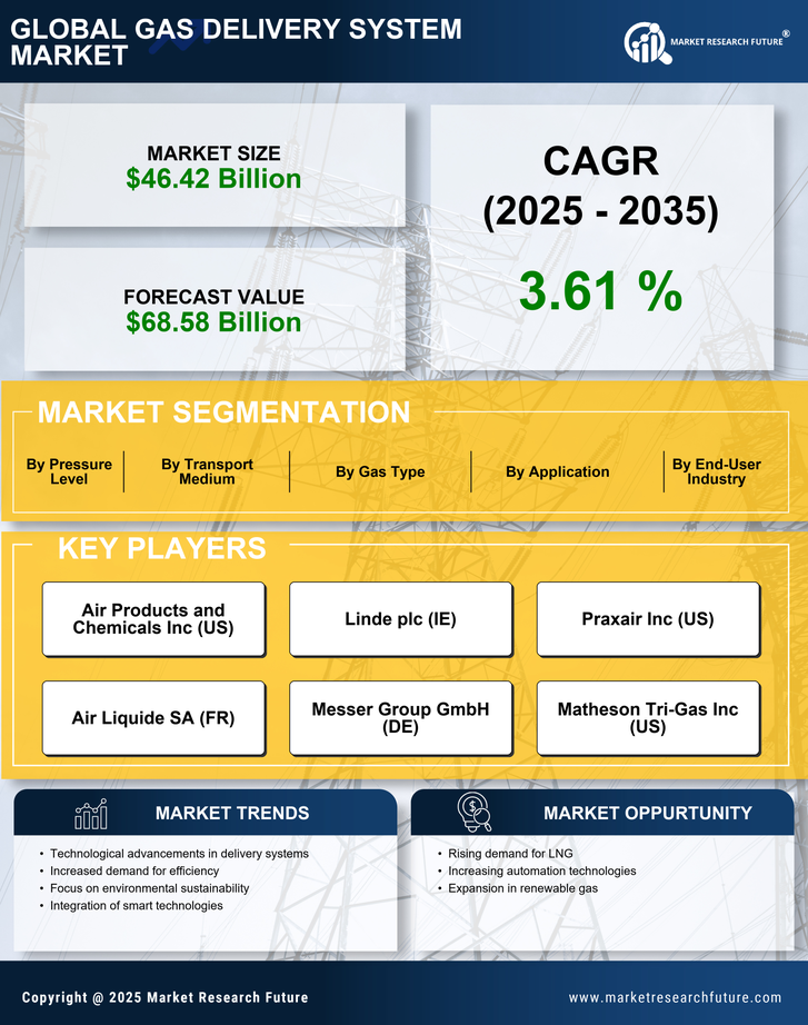 Gas Delivery System Market Research Report — Global Forecast till 2035 Infographic
