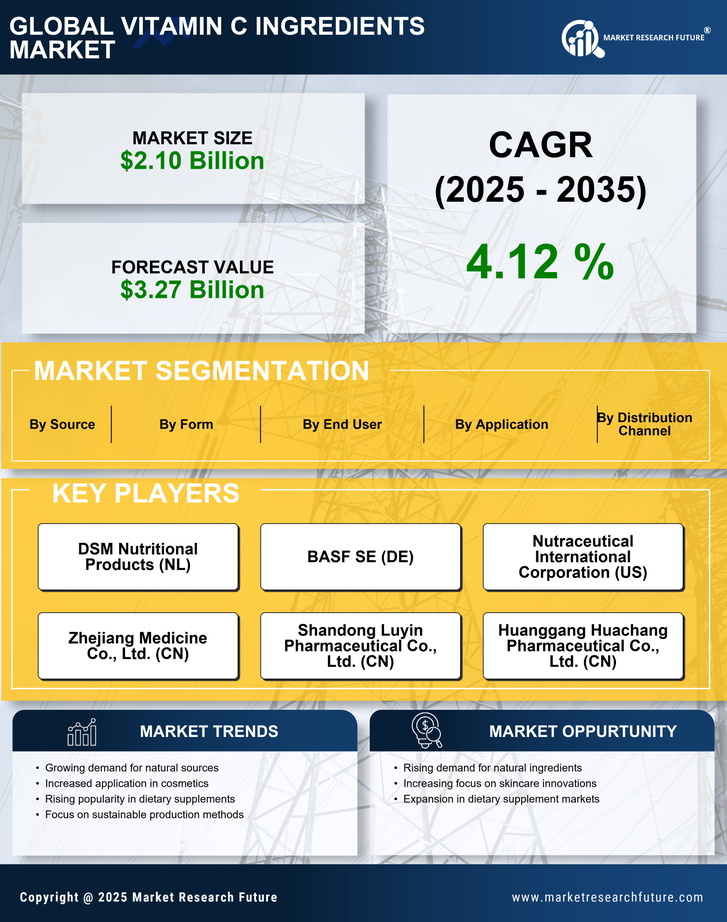 Vitamin C Ingredients Market Research Report — Global Forecast till 2035 Infographic